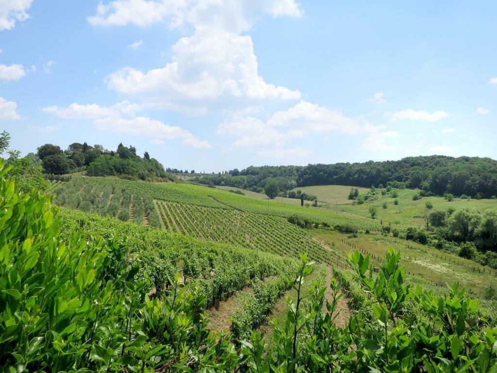 Agriturismo La Moraia Поджибонси Экстерьер фото